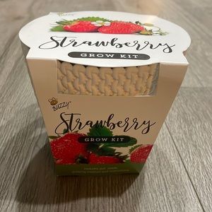 Strawberry grow kit